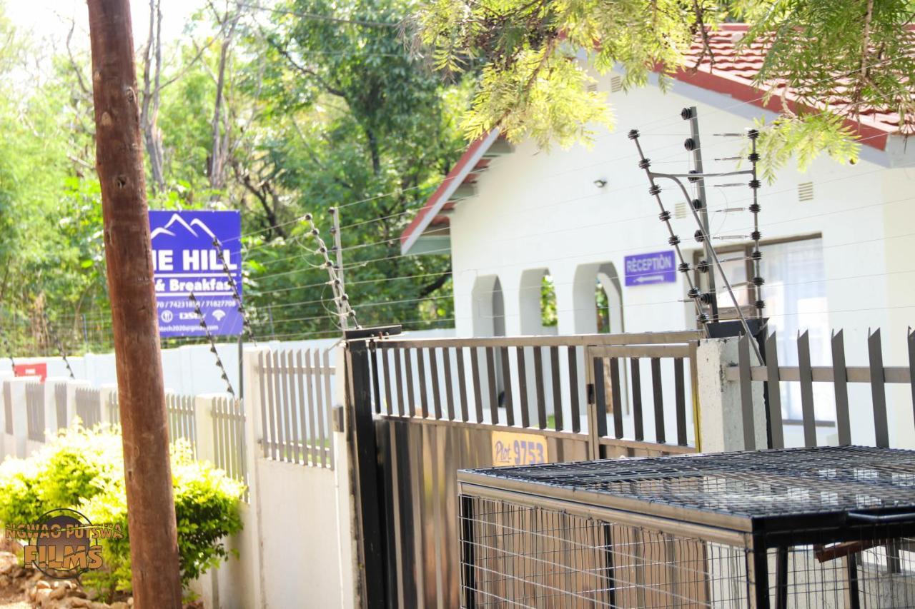 The Hill Bed And Breakfast Φράνσισταουν Εξωτερικό φωτογραφία